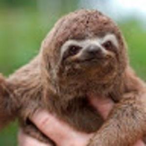 Meet your Posher, Athena